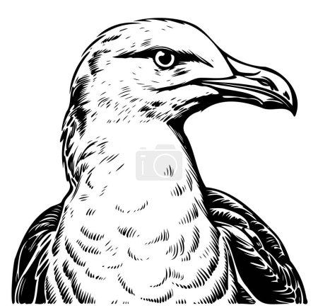 Téléchargez les illustrations : Croquis portrait de mouette dessiné à la main Oiseau vecteur - en licence libre de droit