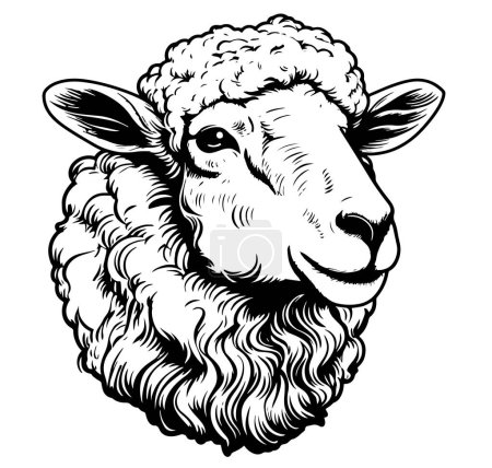 Bauernhof Schafe Lamm Gesicht handgezeichnete Skizze Vector