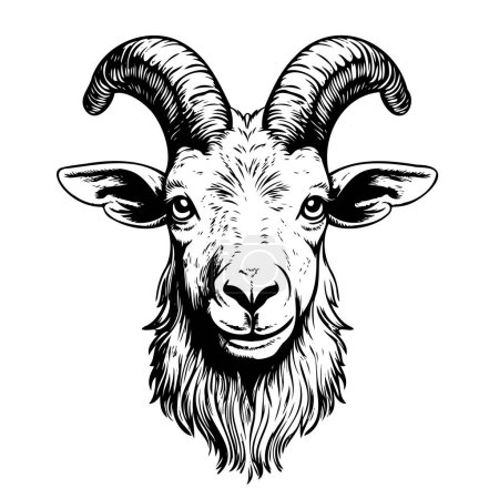 Téléchargez les illustrations : Croquis animal tête de chèvre dessin à la main Illustration vectorielle, animaux de ferme - en licence libre de droit