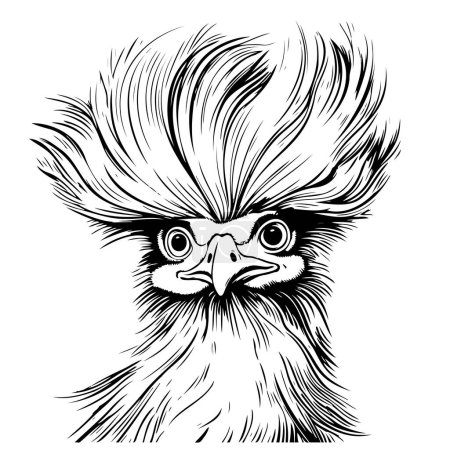 Ilustración de Chino divertido gallina de seda dibujado a mano Vector - Imagen libre de derechos