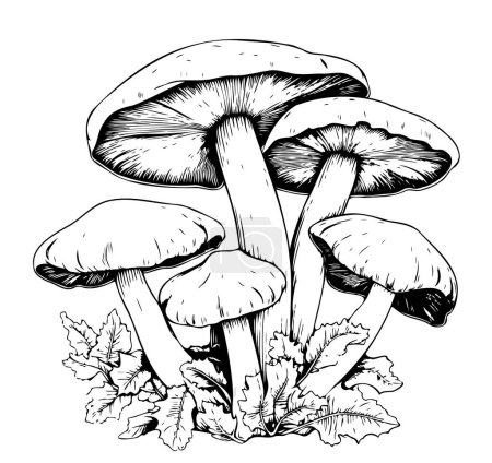 Poisonous mushrooms Vector illustration drawn by hand, family of inedible mushrooms Dangerous mushrooms, toadstool, fly agaric, white toadstool, family of mushrooms