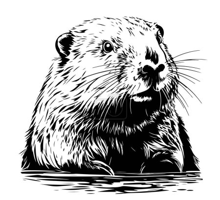 Téléchargez les illustrations : Croquis du visage de castor dessin à la main Illustration vectorielle Animaux sauvages - en licence libre de droit