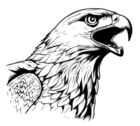 Téléchargez les illustrations : Gravure vectorielle antique dessin illustration de tête de faucon isolé sur fond blanc Oiseau - en licence libre de droit