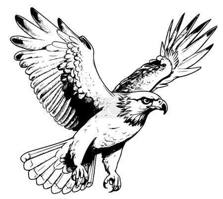 Téléchargez les illustrations : Faucon oiseau de proie croquis volant illustration vectorielle noir et blanc - en licence libre de droit