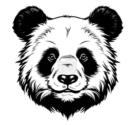 Illustration for Black and white vector sketch of a Giant Panda face - Royalty Free Image