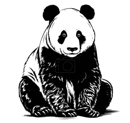 Illustration for Panda hand drawn sketch Vector illustration, Wild animals .signs and simbols - Royalty Free Image