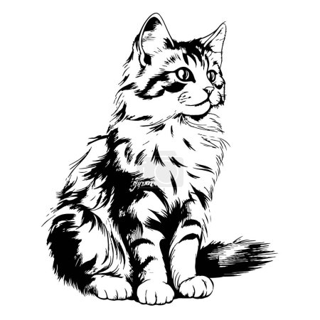 Téléchargez les illustrations : Un croquis d'un chat domestique assis Illustration vectorielle - en licence libre de droit