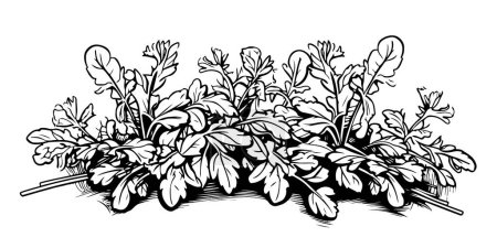 Ilustración de Bosquejo dibujado a mano del borde del campo de flores silvestres en estilo garabato Ilustración vectorial - Imagen libre de derechos