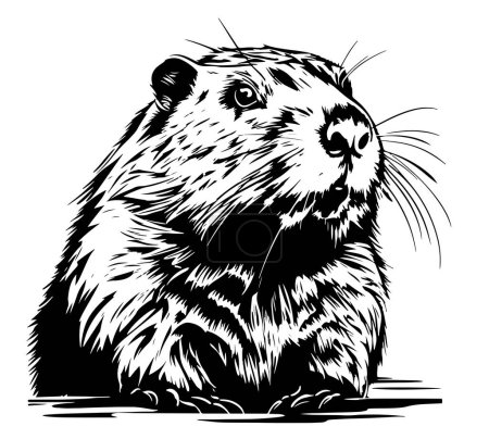 Beaver rodent mammal. Scratch board imitation. Black and white hand drawn image. Engraving vector illustration