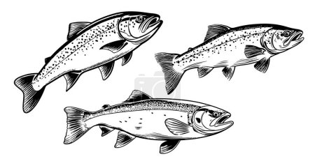 Ilustración de Pescado de trucha en trazos dibujados a mano. Ilustración vectorial. - Imagen libre de derechos