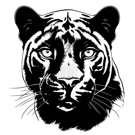 Téléchargez les illustrations : Portrait de panthère noire croquis dessiné à la main Illustration vectorielle, Animaux sauvages - en licence libre de droit