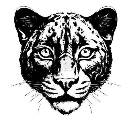 Téléchargez les illustrations : Portrait d'ourson panthère croquis dessiné à la main Illustration vectorielle, Animaux sauvages - en licence libre de droit