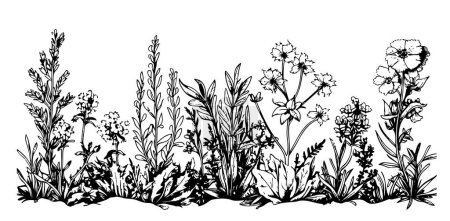 Ilustración de Bosquejo dibujado a mano del borde del campo de flores silvestres en estilo garabato Ilustración vectorial - Imagen libre de derechos
