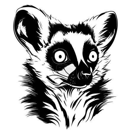 Téléchargez les illustrations : Esquisses de lémuriens, contour avec fond blanc, illustration dessinée à la main Lémuriens - en licence libre de droit