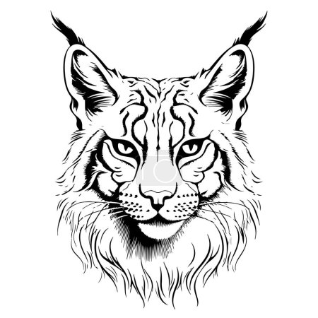 Téléchargez les illustrations : Lynx. Croquis, dessin, portrait graphique d'une tête de lynx sur fond blanc - en licence libre de droit