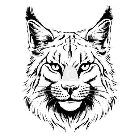 Téléchargez les illustrations : Lynx. Croquis, dessin, portrait graphique d'une tête de lynx sur fond blanc Vecteur - en licence libre de droit
