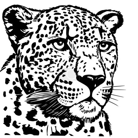 Portrait of Leopard, hand-drawn illustration, vector