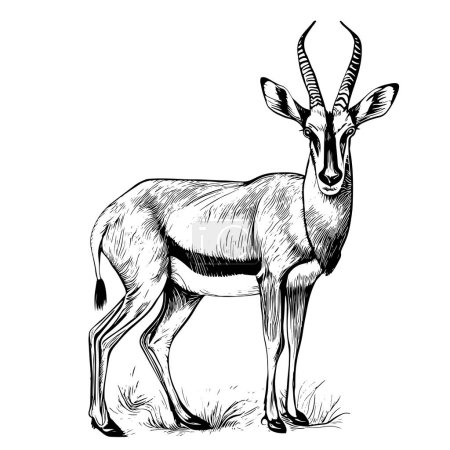 handgezeichnete Tiervektorillustration von Antilopen. Skizze isoliert auf weißem Hintergrund mit Bleistift und Etikettenbanner