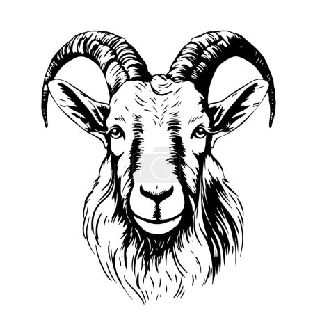 cabeza de cabra vector negro y blanco boceto