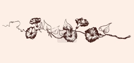 patrón con nasturtium y loach. Ilustración vectorial monocromática. Patrón floral sobre fondo blanco.