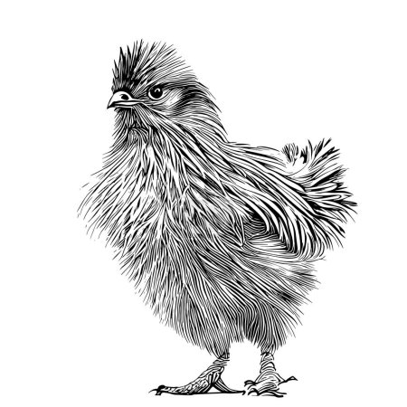 Funny silk hen chick sketch hand drawn in doodle style
