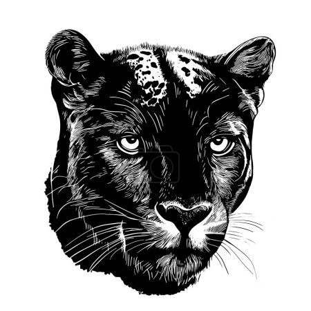 Black panther portrait hand drawn sketch illustration, Wild animals