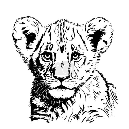 Petit lion portrait croquis dessiné à la main illustration, Animaux sauvages