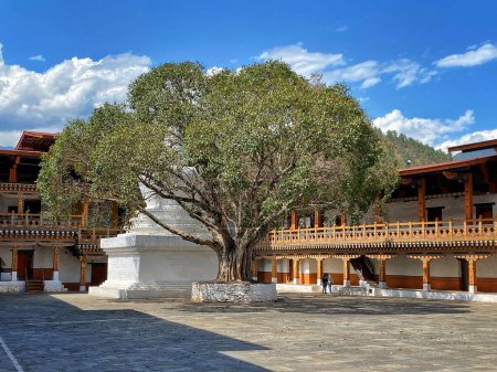 Photo for Interior courtyard with bodhi tree in Punakha Dzong temple, Bhutan. - Royalty Free Image