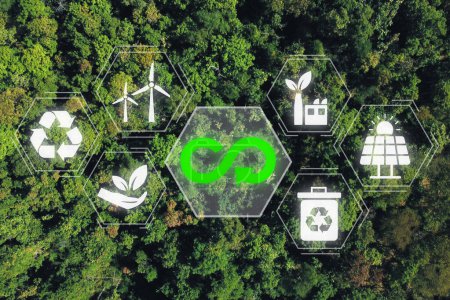 Circular economy concept, Aerial top view green forest with circular economy icon on vr screen, renovating and recycling existing materials and products as much possible. Stickers 633600186