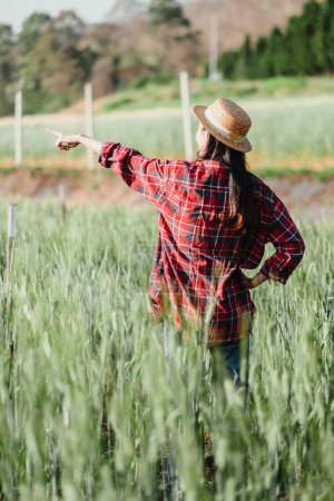 Farmer wearing a straw hat and red plaid shirt points out into the distance, monitoring the progress of crops in a green field.