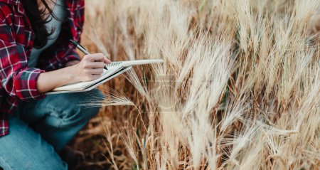 Agrarwissenschaftler vertieft sich tief in Notizen, während er eine gründliche Untersuchung der Weizenernte in einem weitläufigen Feld durchführt.
