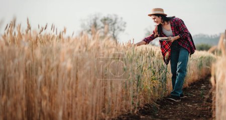 Diligent farmer bends over to examine the quality of the wheat in her field, taking notes to ensure a successful harvest season.