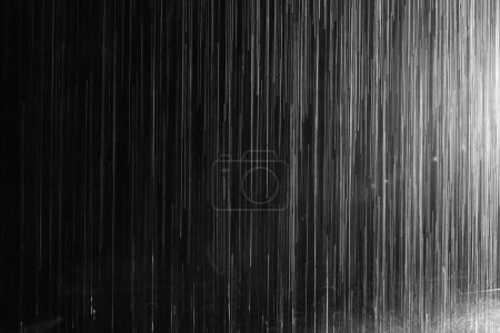 Photo for Rain drops on the black background - Royalty Free Image