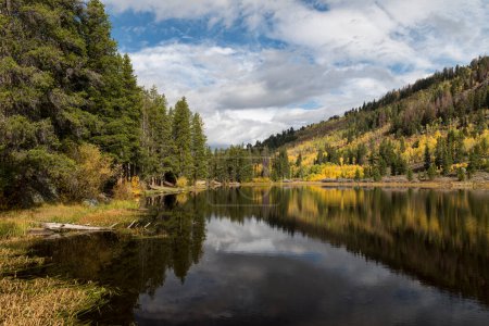 Photo for Autumn Reflections on Chapman Reservoir, has many recreational water activities and camping. Located in Frying Pan River Valley in Central Colorado. - Royalty Free Image