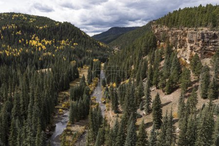 Photo for Historical North Piedra Stock Driveway Trail is next to the Piedra River in the San Juan National Forest.  Early autumn colors and dramatic vistas await the visitors too Colorado. - Royalty Free Image