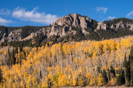 Téléchargez les photos : Golden Aspen dans la vallée de la rivière Cimarron dans le sud-ouest du Colorado. - en image libre de droit