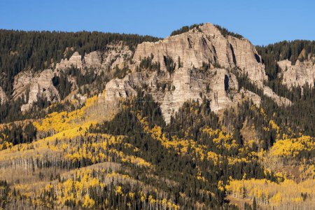 Téléchargez les photos : Tôt le matin, paysage coloré d'automne dans la vallée de la rivière Cimarron, Colorado. - en image libre de droit