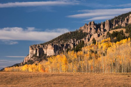 Téléchargez les photos : Golden Aspen dans la vallée de Cimarron au sud-ouest dans la forêt nationale d'Uncompahgre, Colorado. - en image libre de droit