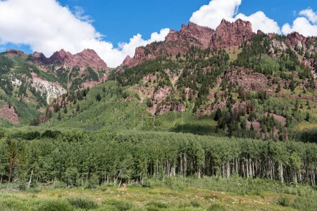 Looking west at the Maroon Bells Snowmass Wilderness area fully leafed green aspen trees in a mid Summer climate. 
