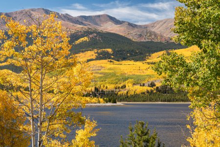 Colorados höchster Berg, der 14.440 Foot Mount Elbert, wird von farbenfrohen Herbstaspen umrahmt. Mt. Im Vordergrund steht Elbert Forebay, das Freizeitaktivitäten, Angeln, Wandern, Zelten und Freizeitaktivitäten im Freien anbietet..
