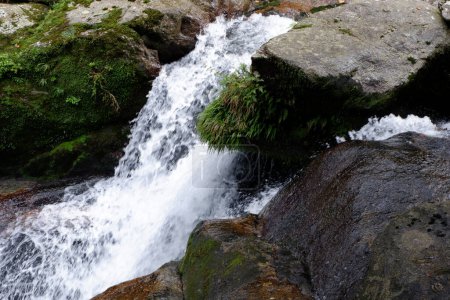 Photo for Waterfall of Yakushima island - Royalty Free Image