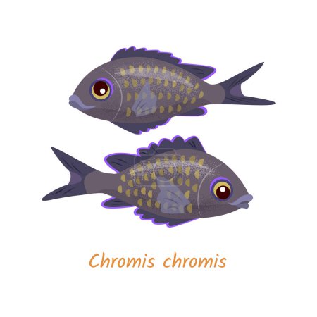 Illustration for Two dark funny fish on the white background. Vector color isolated illustration. - Royalty Free Image
