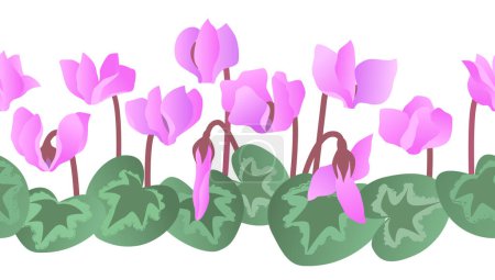 Téléchargez les illustrations : Cyclamen fleuri avec fleurs et feuilles. Bordure sans couture isolée de couleur vectorielle. - en licence libre de droit