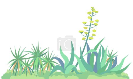 Ilustración de Ágave floreciente y yuca. Ilustración aislada de color vectorial - Imagen libre de derechos