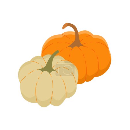 Illustration for Composition of two pumpkins. Vector isolated color illustration. - Royalty Free Image