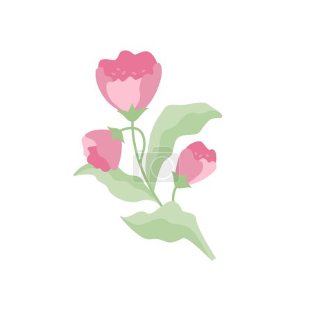 Téléchargez les photos : Illustration vectorielle de couleur isolée de la plante avec des fleurs et des feuilles roses - en image libre de droit