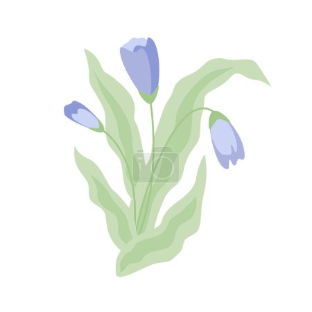 Téléchargez les photos : Illustration vectorielle isolée de plante avec des fleurs et des feuilles de couleur lavande. - en image libre de droit