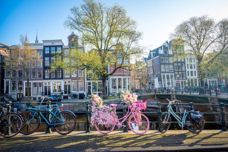 Téléchargez les photos : Vélos décorés avec des fleurs à Amsterdam, Pays-Bas. Amste - en image libre de droit