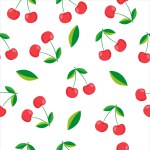 cherry berry pattern on white background vector