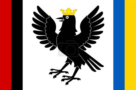 Illustration for Flag of Ivano-Frankivsk Oblast (Ukraine) Ivano Frankivsk, Ivano-Frankivshchyna, Stanislav, White field with a black jackdaw. Both the vertical edges are decorated by two different narrow bicolors - Royalty Free Image